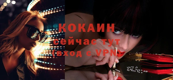 стаф Новозыбков