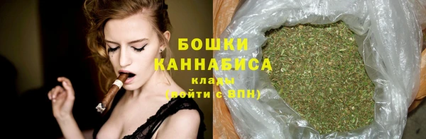 стаф Новозыбков