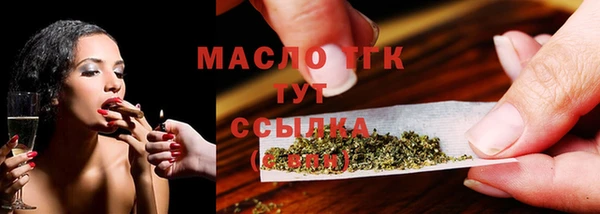 стаф Новозыбков