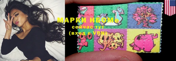 стаф Новозыбков