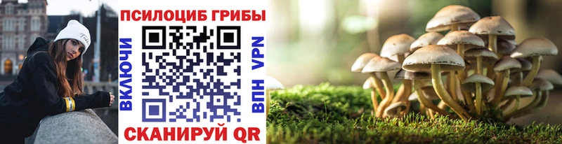 Галлюциногенные грибы Magic Shrooms Ильский